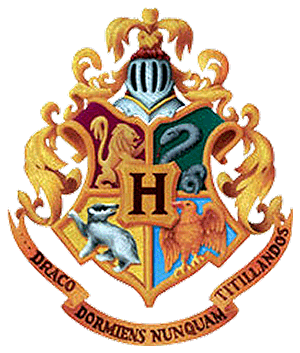 Hogwarts is magic Hogwartscoat